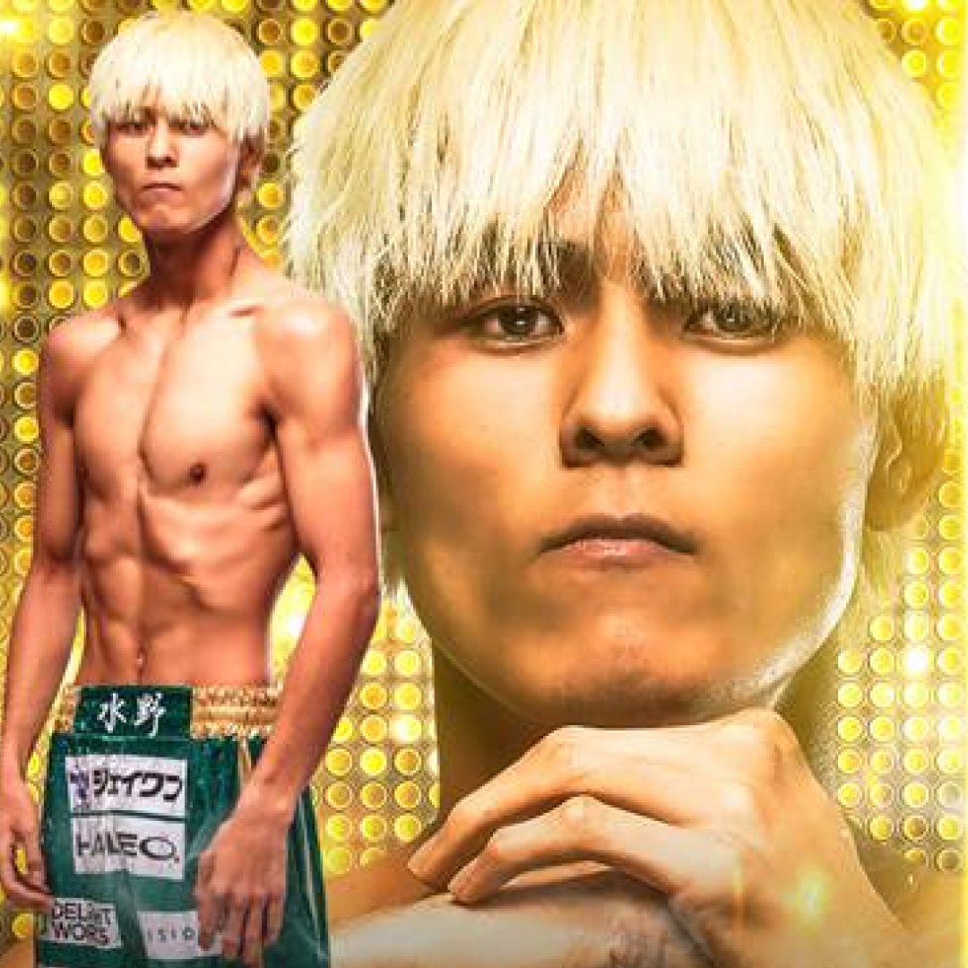 ファイトメモリー | Fight Memory tweet media