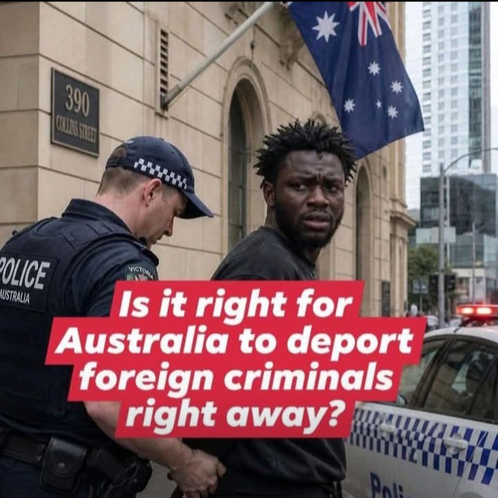Australian Patriot. tweet media