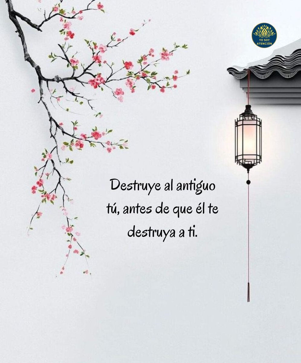 AtencionYoSoy's tweet photo. 👇🏻 https://t.co/mCzTzwE7pw