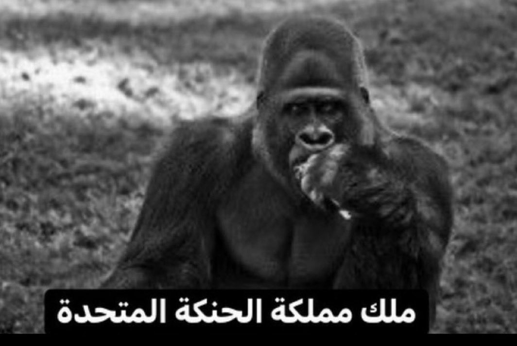 3ziz tweet media