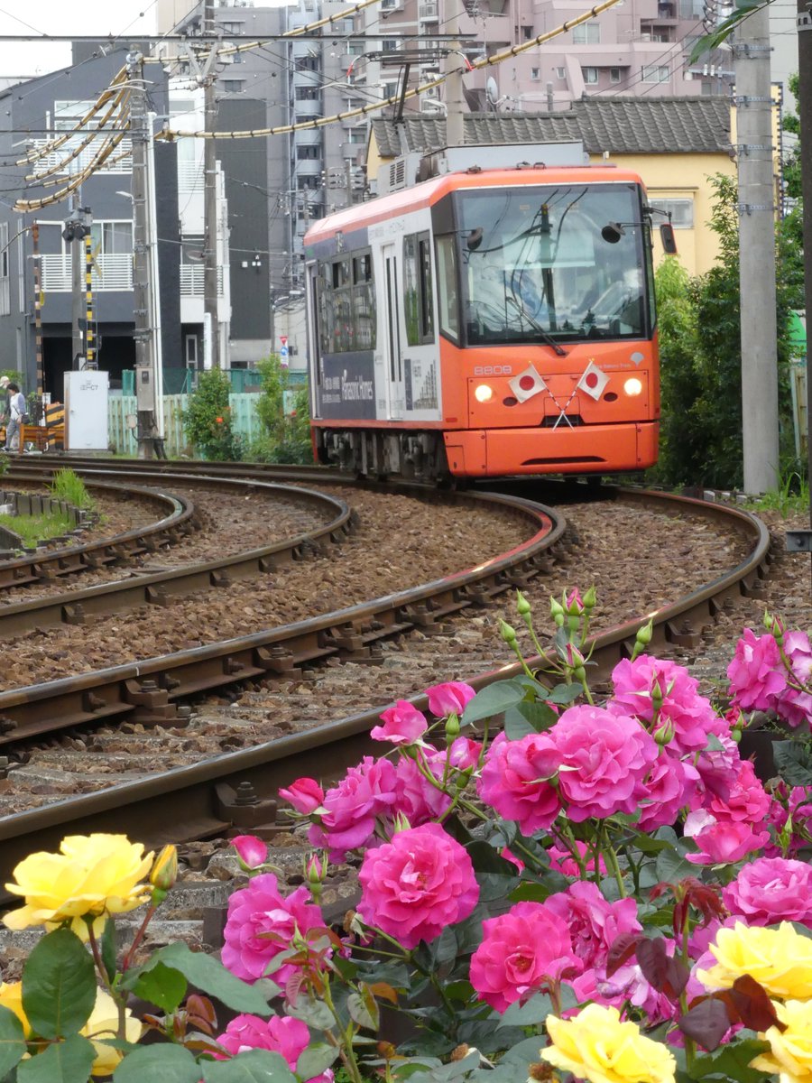 祝日とあって、電車は買い物・観光客などでそこそこ混み合っていました。のんびりと #都電 が走る我が街・ #荒川区、改めていいな！って思いました。