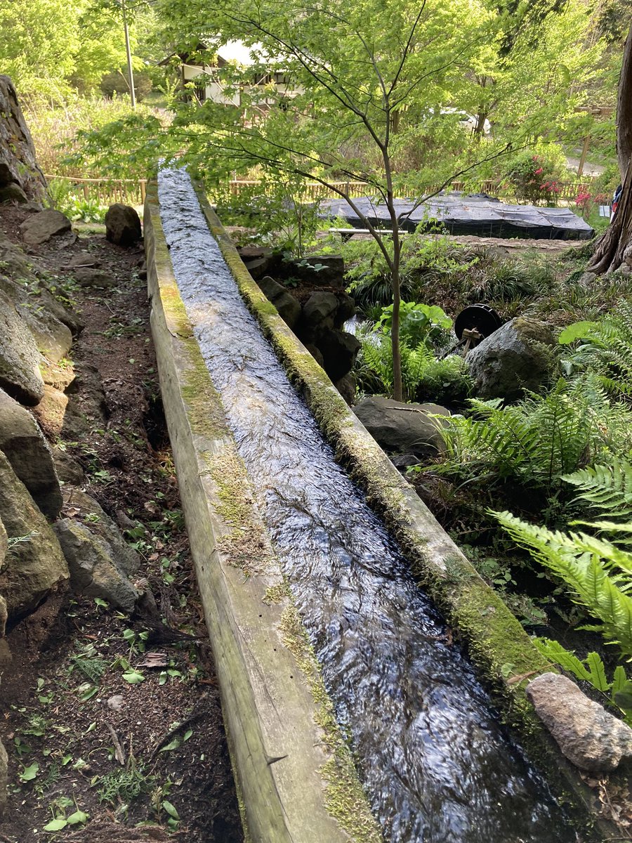 suiunnetwalk's tweet photo. 山梨の八ヶ岳裾野域は湧水がいっぱい。水路が豊富で水も汲めて嬉しい。 https://t.co/4KInjHXZqC