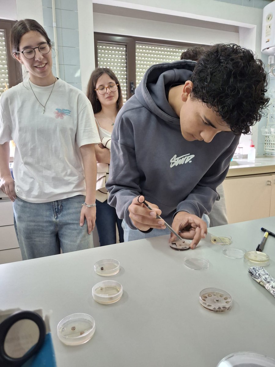 irnasa_csic's tweet photo. 🔬Visita de 4º de ESO del @iesfrayluis al #IRNASA-CSIC para conocer nuestro servicio Colección Microbioma de Plantas y el Laboratorio de Helmintos Parásitos de Importancia Zoonótica (@atenea_lab). https://t.co/EVNSQZ30Lx