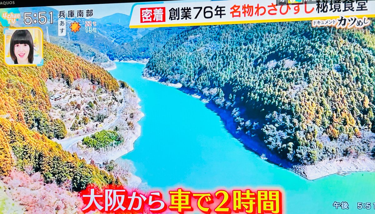 古座川みかん tweet media