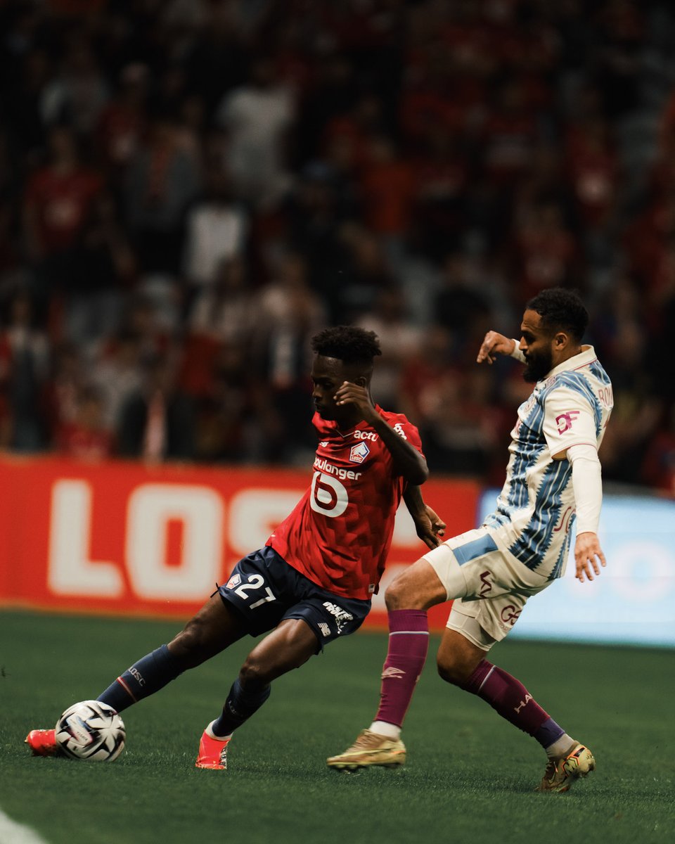 LOSC tweet media