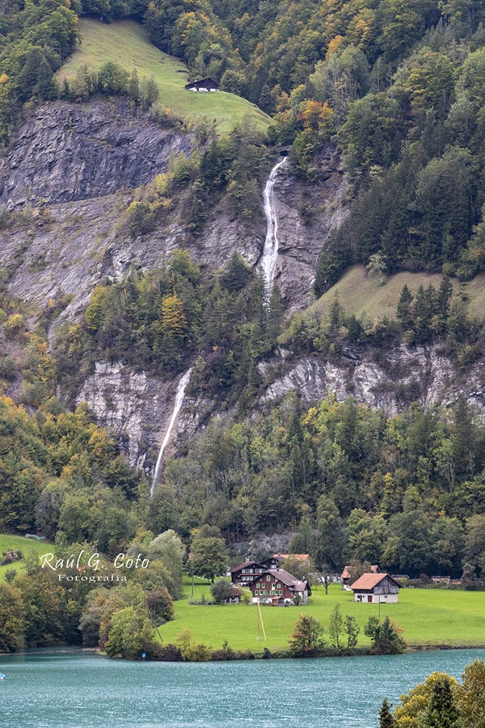 RaulGCoto's tweet photo. #Lungern #LungernSwitzerland #Lungerersee #LakeLungern #LungernLake #SwissAlps #Switzerland #VisitSwitzerland #Obwalden #SwissVillage #AlpineLake #SwissNature #TravelSwitzerland #ExploreLungern #LungernViews #BeautifulSwitzerland #SwissMountains @Spain_in_CH @MySwitzerland_e https://t.co/txY8K7RT3J