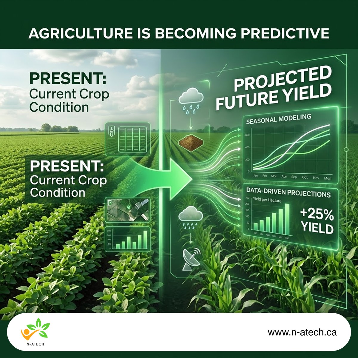 n_atech's tweet photo. Reactive farming responds.
Predictive farming anticipates.

Make decisions before uncertainty appears.

https://t.co/3RCqpoMFNe

#NATECHData #PredictiveAg #FutureFarming https://t.co/yoobWhBhha