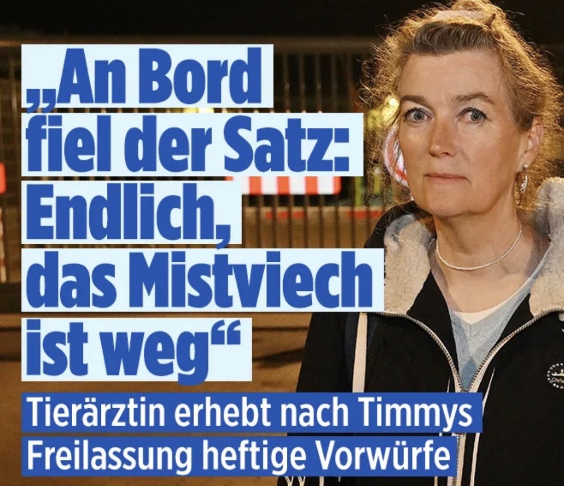 die tweet media