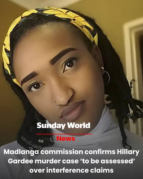 FuelLevy🇿🇦🗣💚 tweet media