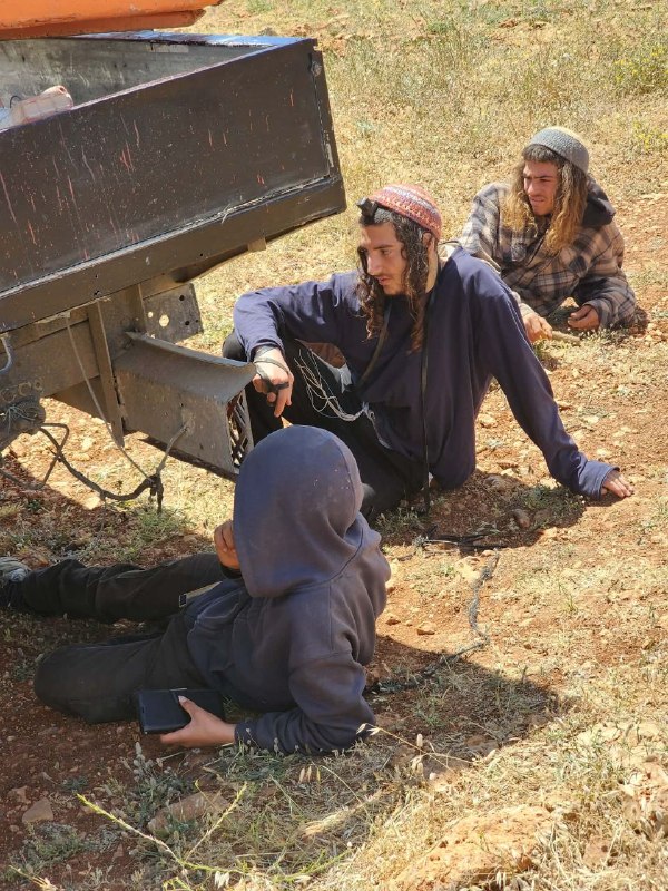 قناة عودة الفضائية tweet media