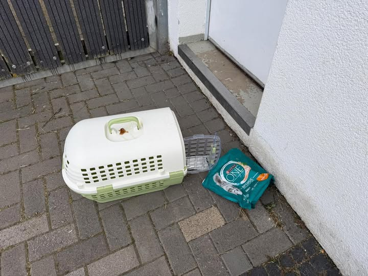 35396 Gießen
Vor dem Fundtierhaus vermutlich eine Katze ausgesetzt
Kopie Tierschutzverein Giessen und Umgebung
Heute Morgen sind wir ins Tierheim gekommen und mussten leider etwas vorfinden, das uns wirklich fassungslos gemacht hat:
Vor unserem Fundtierhaus stand eine