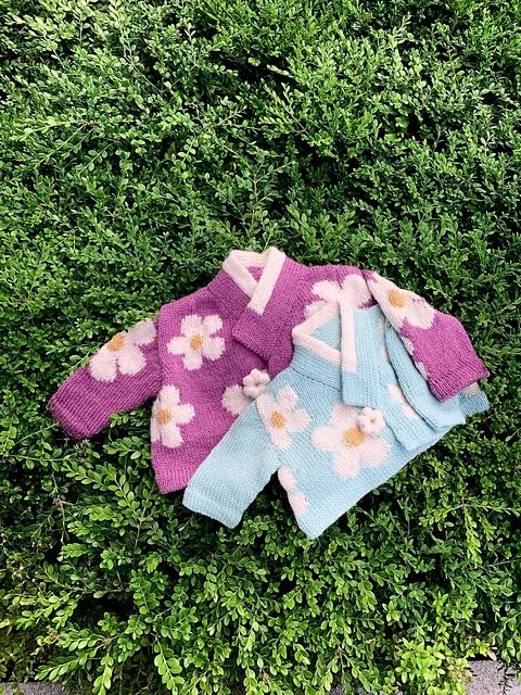 Sedna🧶knitting 🌺 tweet media