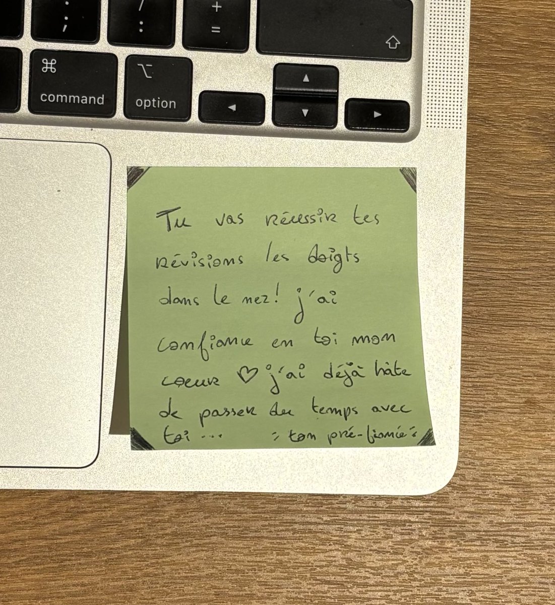🐿️ leonulle era tweet media