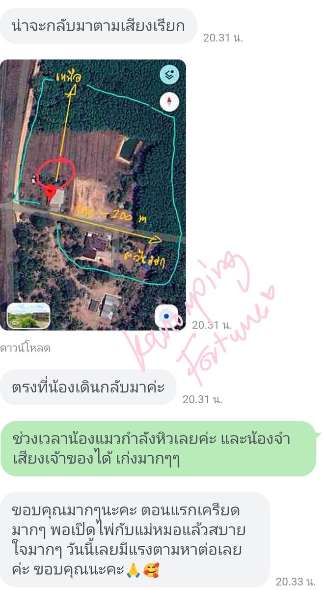 🪷แม่หมอผิง (จองคิวทักLineOAค่ะ) tweet media