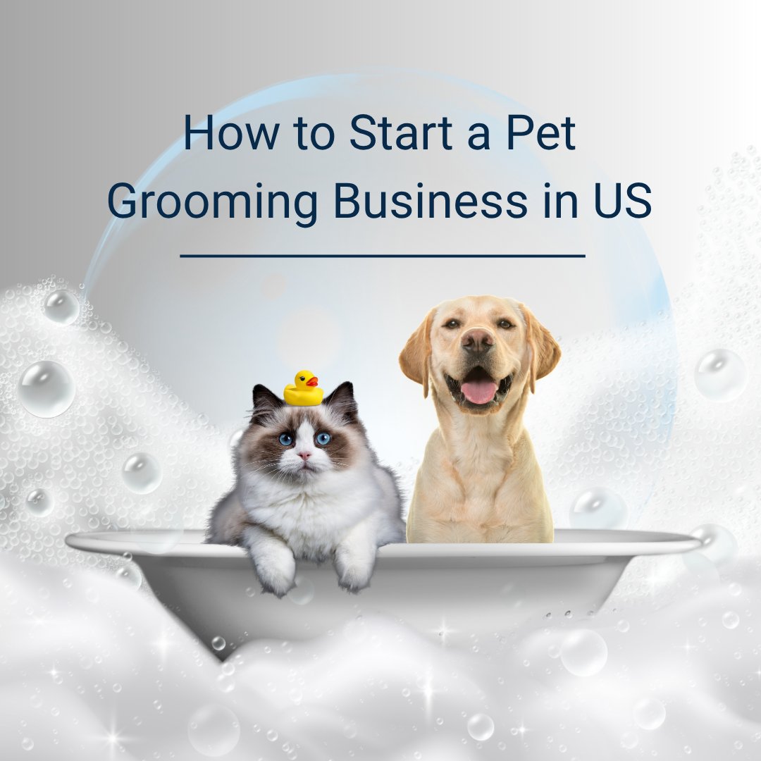 wiseplans's tweet image. How to Start a Pet Grooming Business in US

Read More: bit.ly/4cXo6G8

#PetGroomingBusiness #StartABusiness #EntrepreneurLife #PetCareBusiness #DogGrooming #BusinessStartup #PetIndustry #WiseBusinessPlans