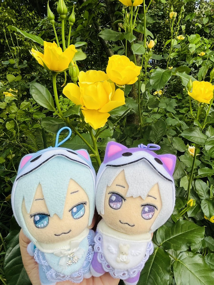 ☆★コウ★☆ tweet media