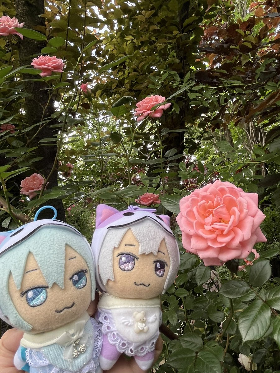 ☆★コウ★☆ tweet media