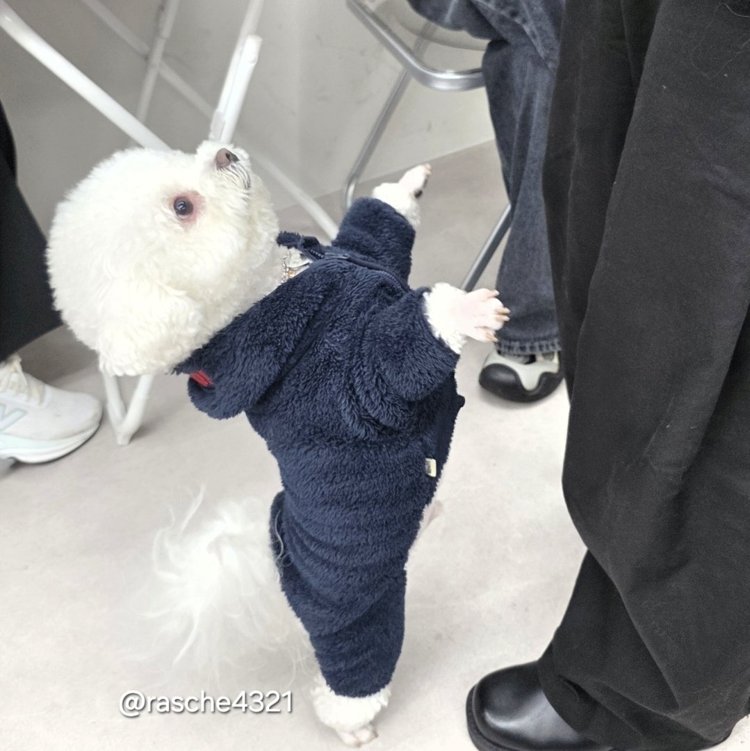 파트라슈 tweet media