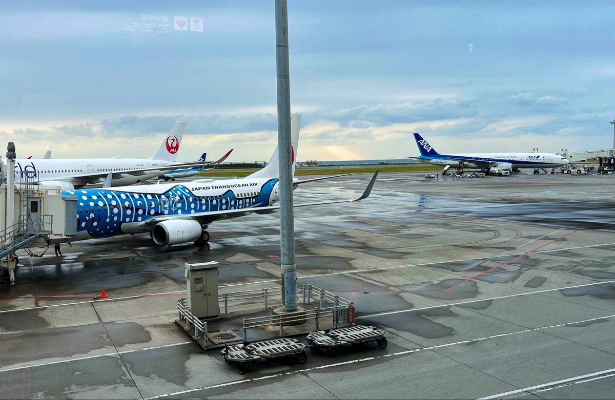 RedSa69's tweet photo. なんで沖縄に帰ってきたけど、なんでこのタイミングで梅雨入りするかね https://t.co/HTccEJCNYo