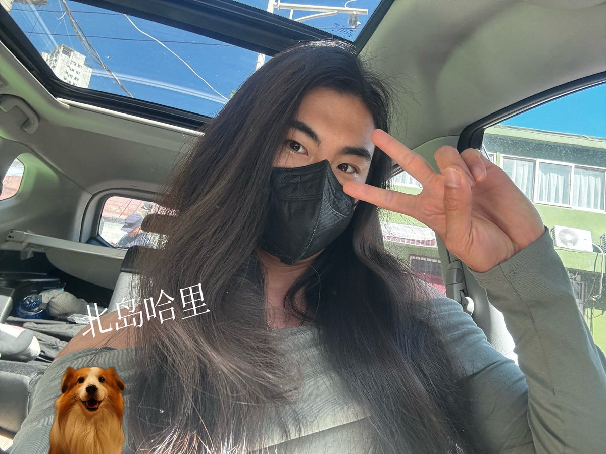 北岛哈里 tweet media