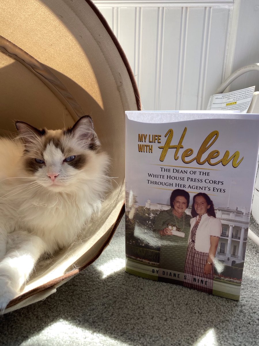DaisyCatNine's tweet image. Let’s read! #amreading #amwriting

amazon.com/My-Life-Helen-…