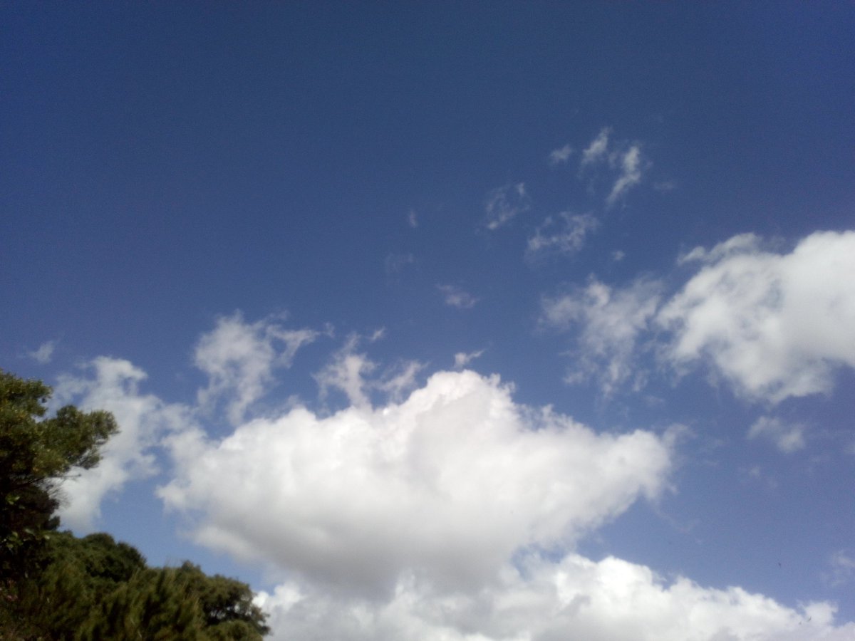 devitocarmine's tweet image. A sinistra un cielo normale.☀️🌤️
A destra un cielo drogato per mano dei figli di satana 😈👇👇✈️💨💀

Facciamo formazione a chi è nato sotto la merda chimica e un cielo naturale non lo ha mai visto.

#Chemtrails #Chemicalweapons #skybastard #SATANprogram #Haarp #Geoengineering