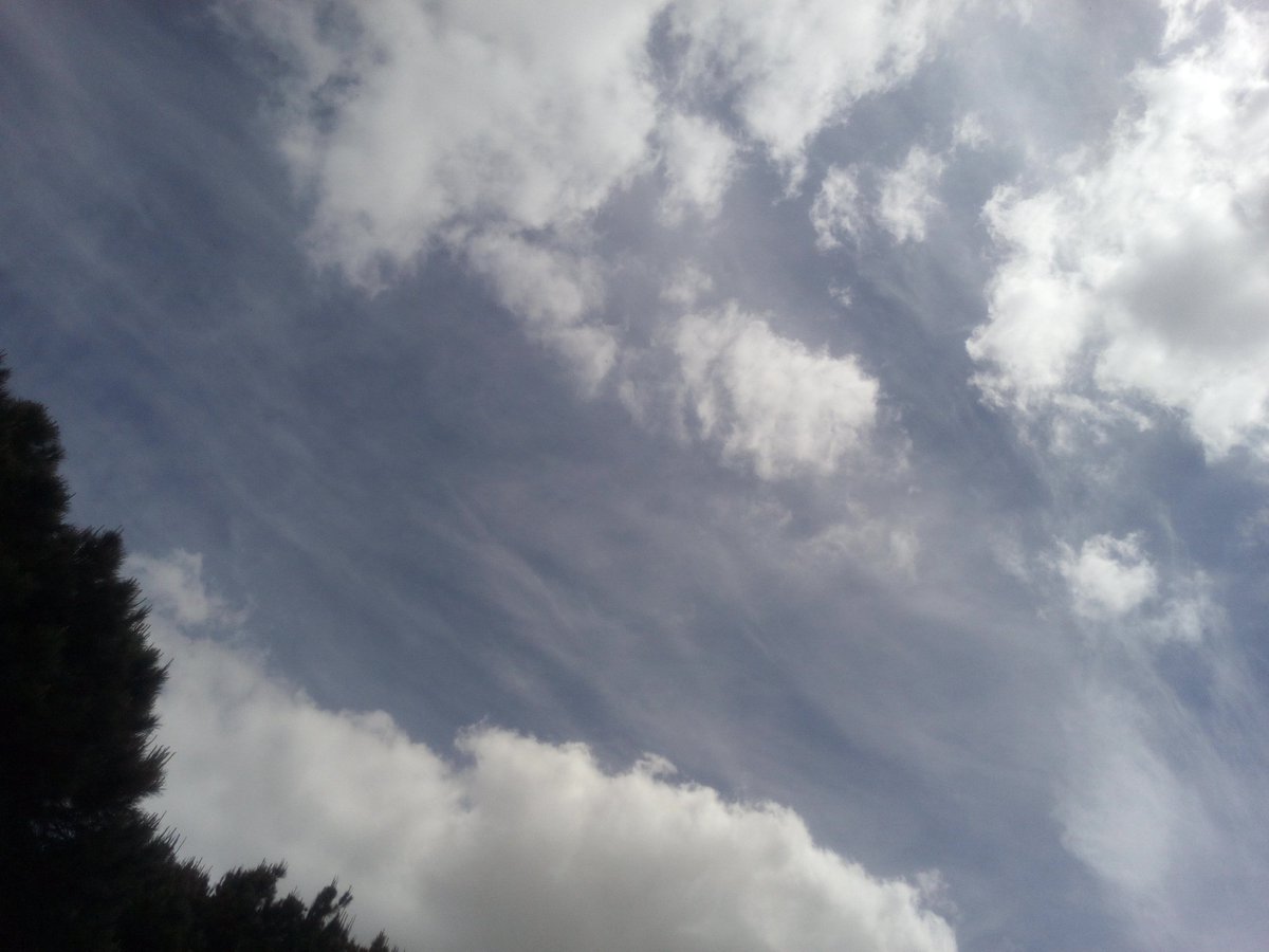 devitocarmine's tweet image. A sinistra un cielo normale.☀️🌤️
A destra un cielo drogato per mano dei figli di satana 😈👇👇✈️💨💀

Facciamo formazione a chi è nato sotto la merda chimica e un cielo naturale non lo ha mai visto.

#Chemtrails #Chemicalweapons #skybastard #SATANprogram #Haarp #Geoengineering