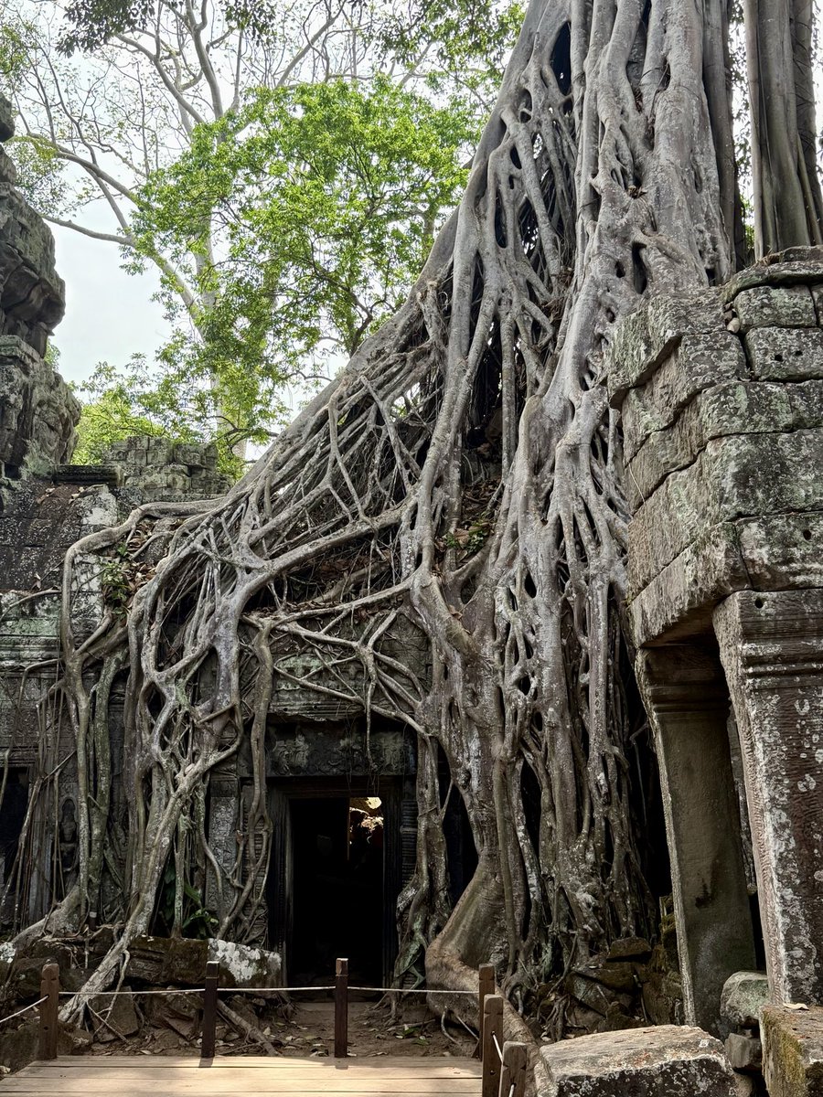 tttx0321's tweet photo. Khmer https://t.co/KO2vh601fa