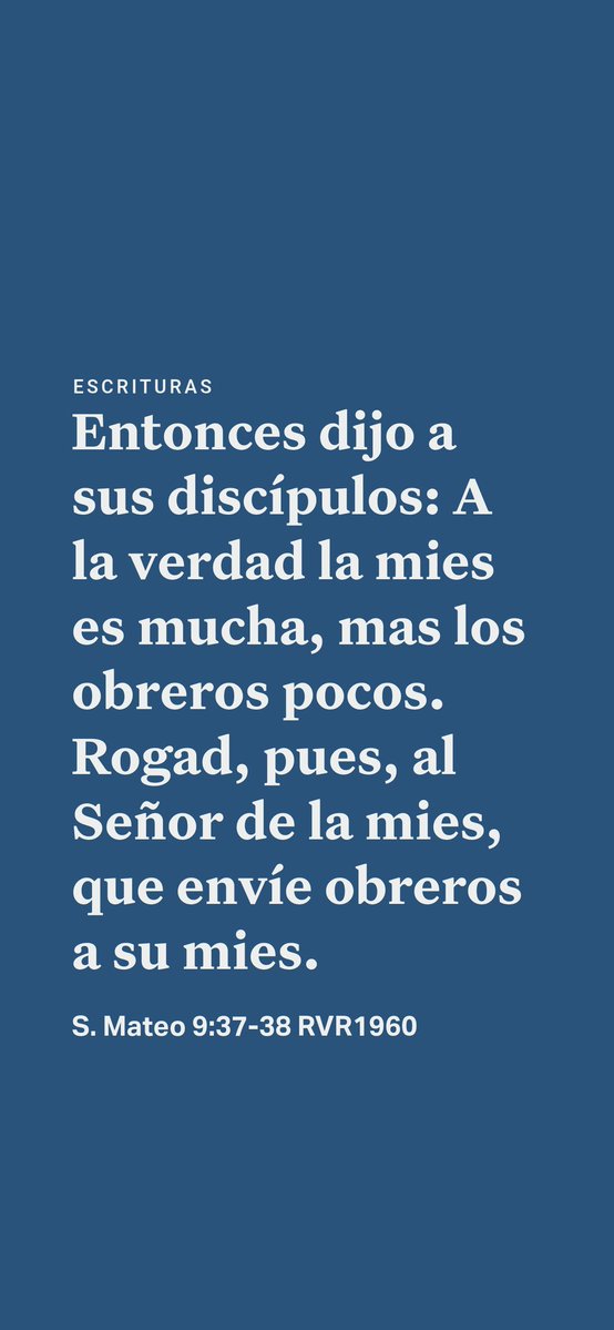 Luis Antonio Barreto tweet media