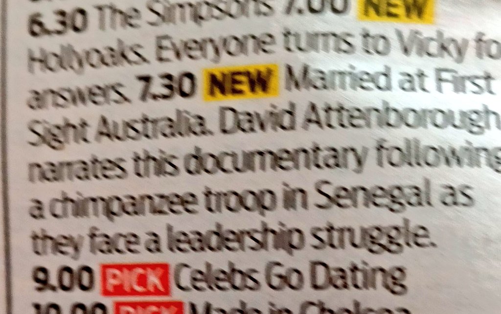 go_dizzy_go's tweet photo. Typo error @DailyMailUK made me laugh. #Dailymailuk #mafsau https://t.co/25U1KCOKYi