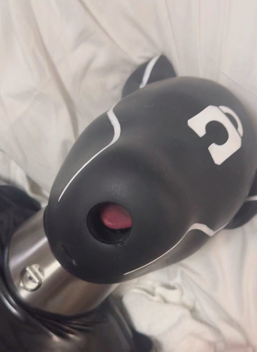 犬として生きることなりました🐶