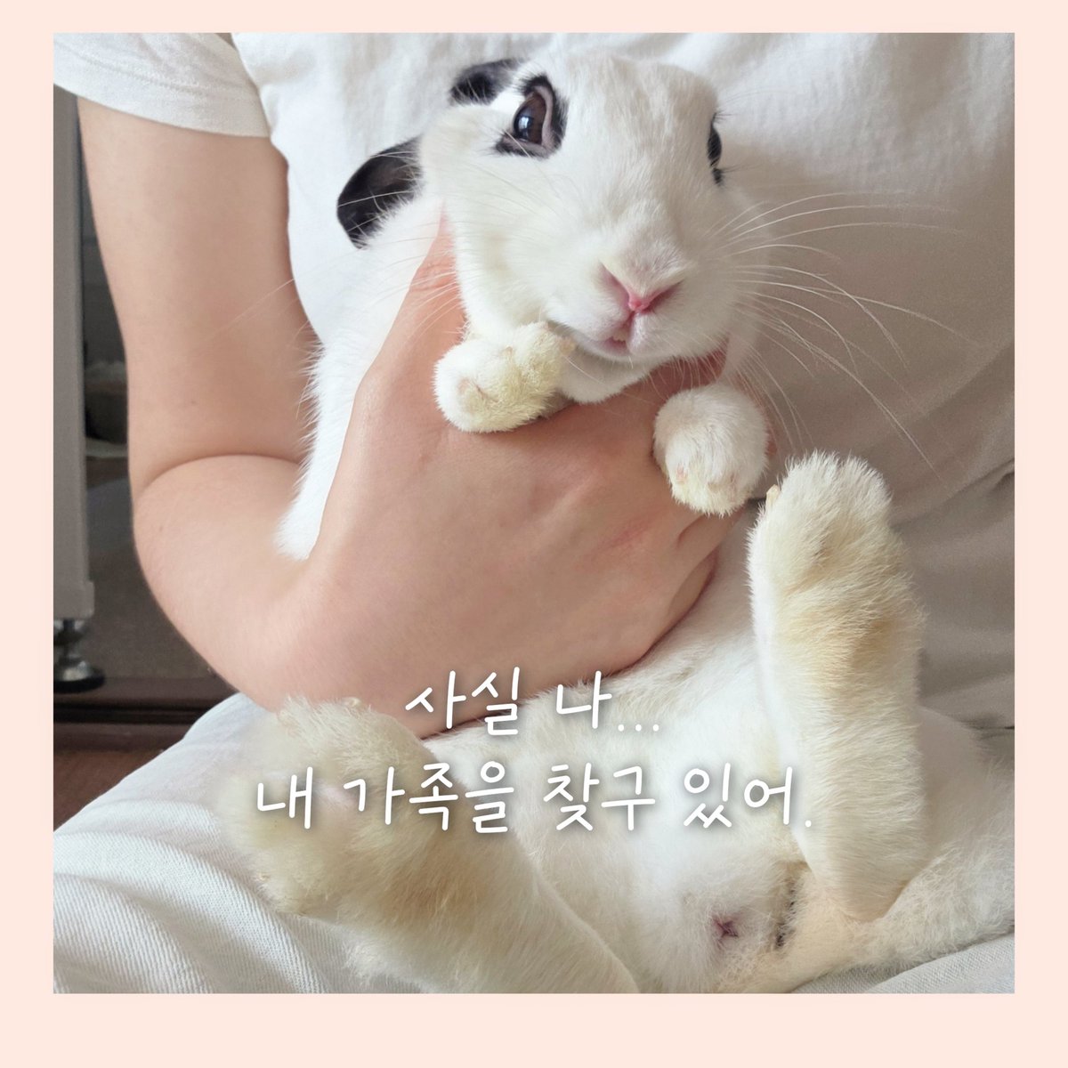 bunnie tweet media