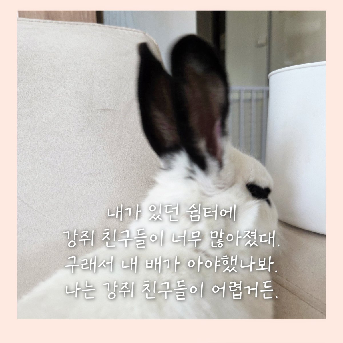 bunnie tweet media