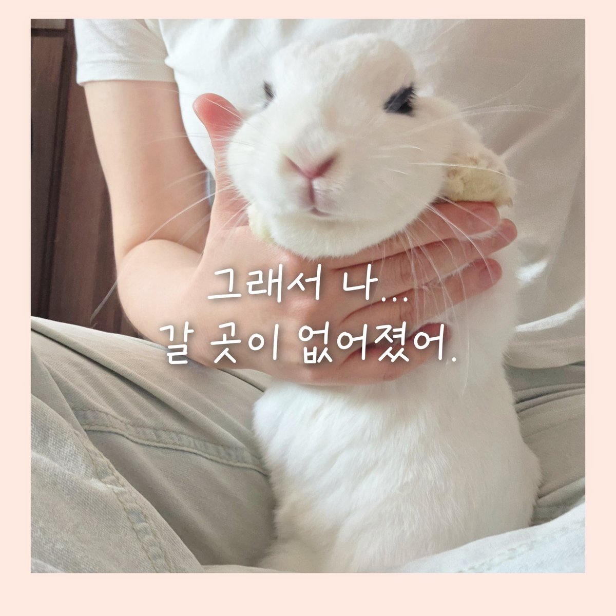 bunnie tweet media