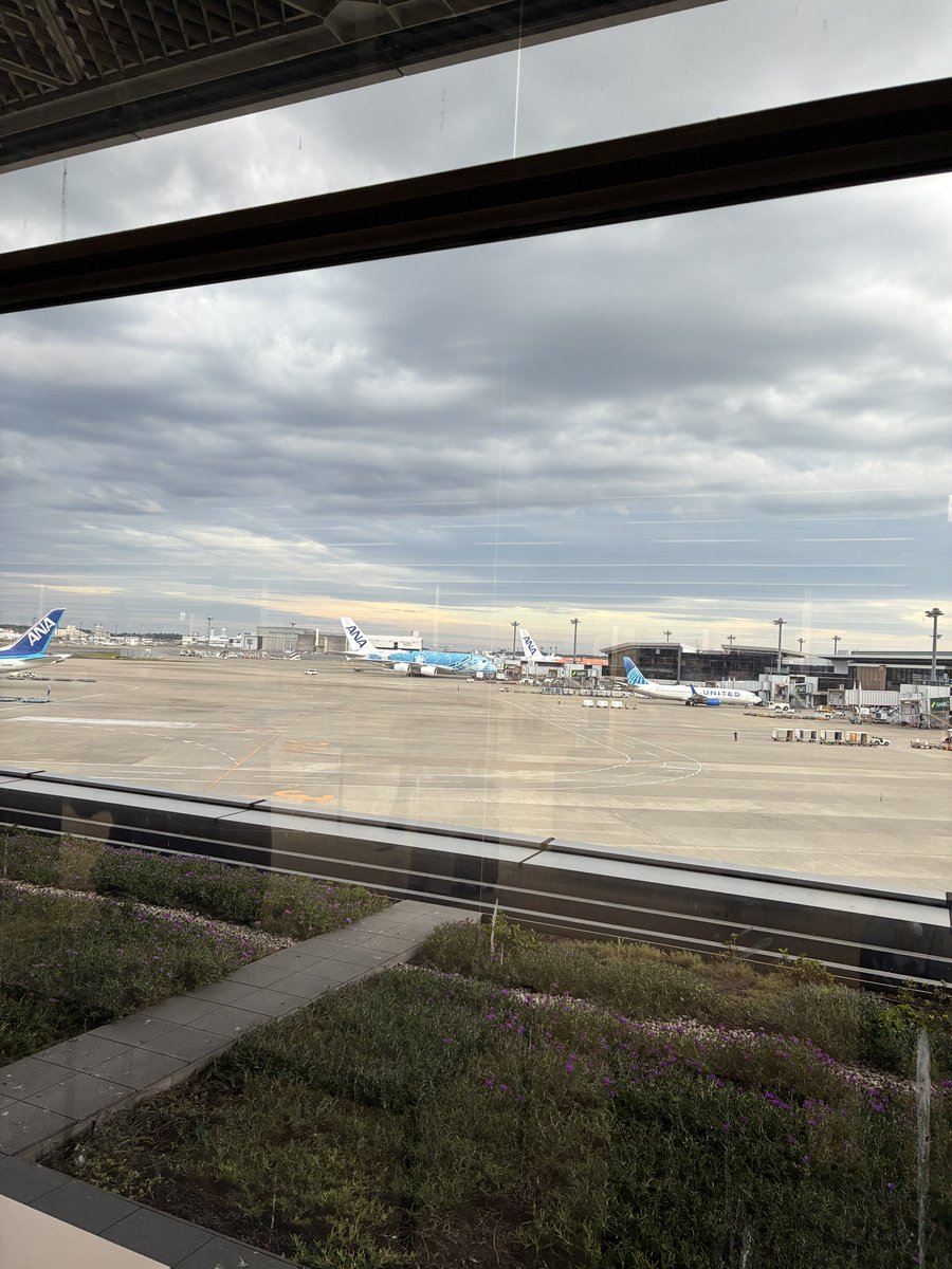 むた tweet media