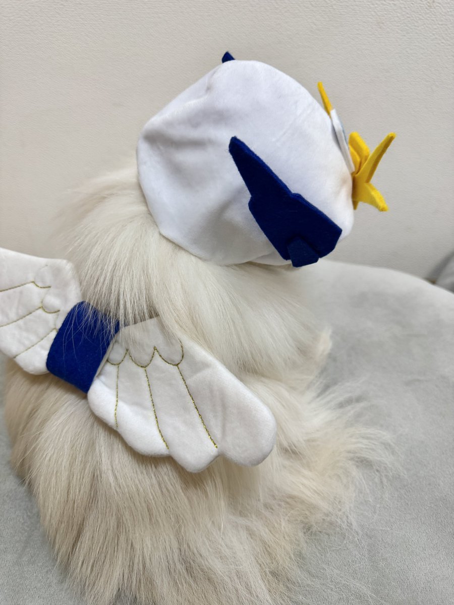 copome's tweet image. ウイングガンダムゼロPO
やっと完成
昔スリコで買ったウイングが出てきたので、かぶりもの作っちゃった😅

#ウイングガンダム #ガンダムW #WG  #ポメラニアン #コスプレ