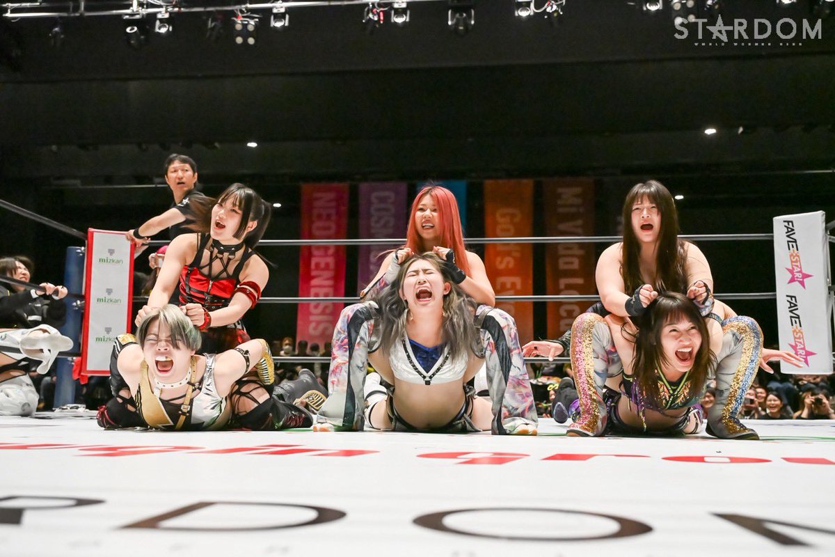 コグマ🐻スターダム tweet media