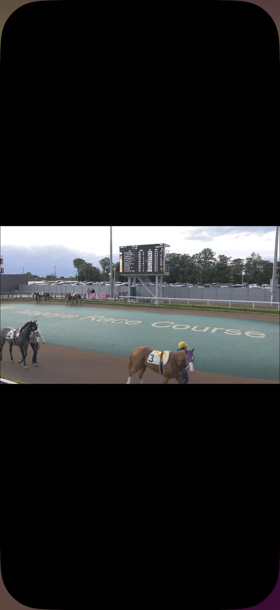 天空競馬予想Ｚ tweet media