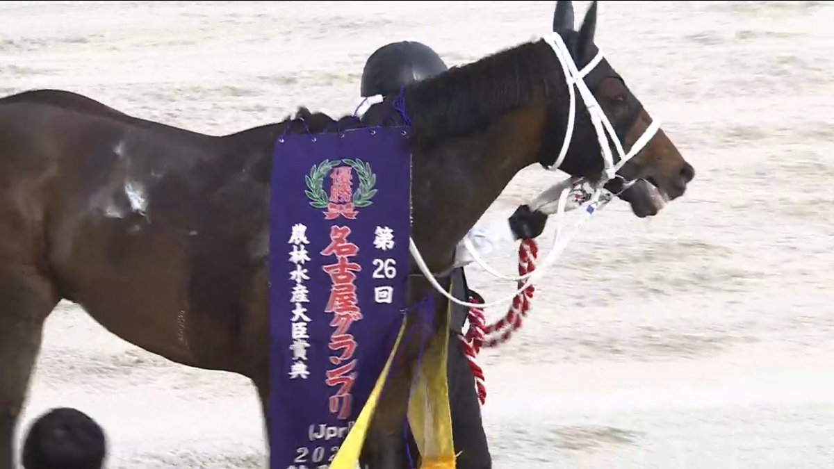 天空競馬予想Ｚ tweet media