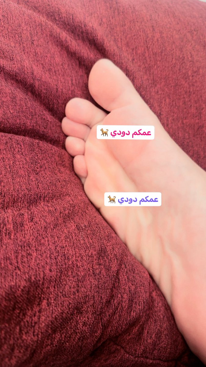 عمكم دودي 😭🐕 tweet media
