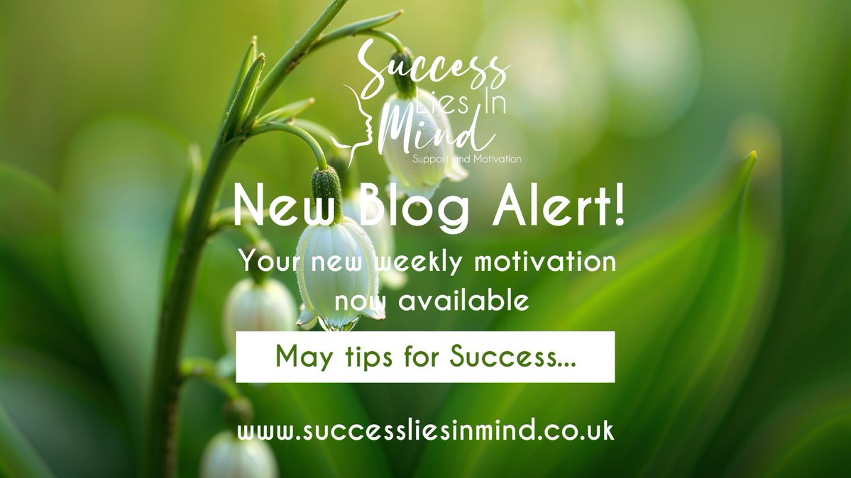 SLIM_support4U's tweet image. For FREE access to the blog, click the link below
successliesinmind.co.uk/2026/05/04/may…
#successliesinmind #success #support #motivation #positivefocus #weightloss #slim #healthy #ashby #ashbydelazouch #loughborough #lboro #donisthorpe #2026success #jackieleech #sonyapeaty
