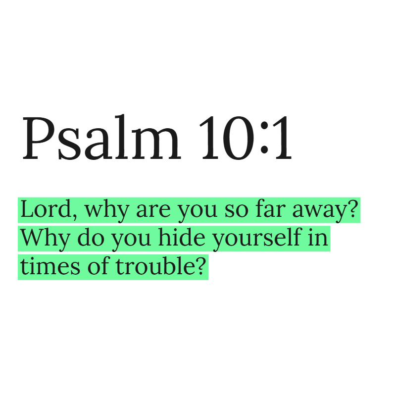 Holy Bible tweet media