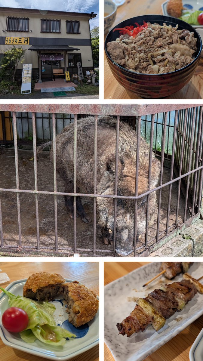uechan_0029's tweet photo. 友人のGRヤリスとWRCコースにもなってる辺りを走ってきました😄
昼は鰻屋なのに猪肉丼、鹿肉コロッケ、猪肉ネギマを食べ、初の宇宙少年cafeへ😋

帰りには新東名で玉突き事故を見たり、強風にビビりまくったり、雨に降られたりしましたが無事帰宅😚

なお、帰ってすぐジュリアのトランクが閉まってるのは確認しておきましたw😅