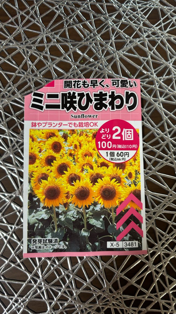 プランターでも育てられるって書いてたから買ったのに、いざ植えようと