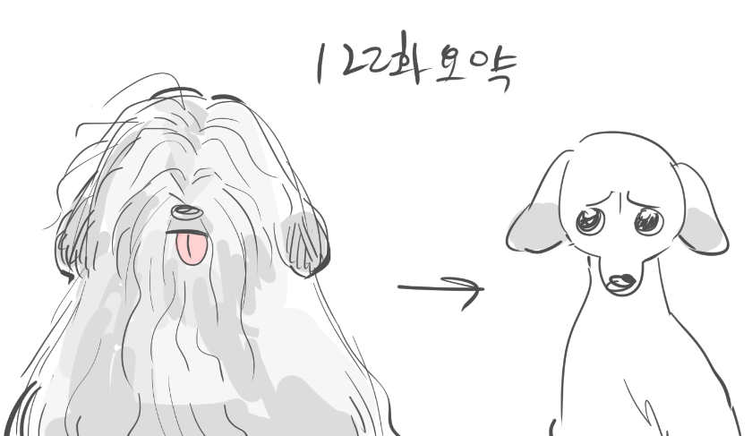 따따_🦊_껴 tweet media