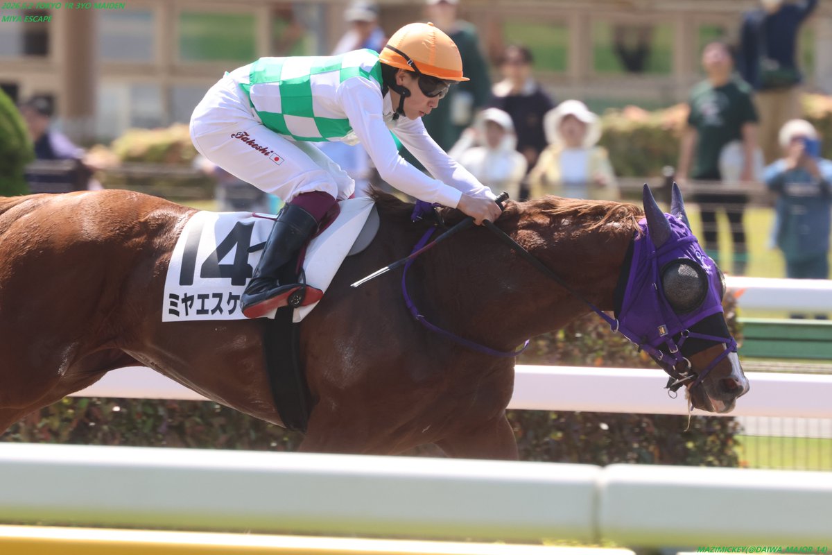 3歳未勝利