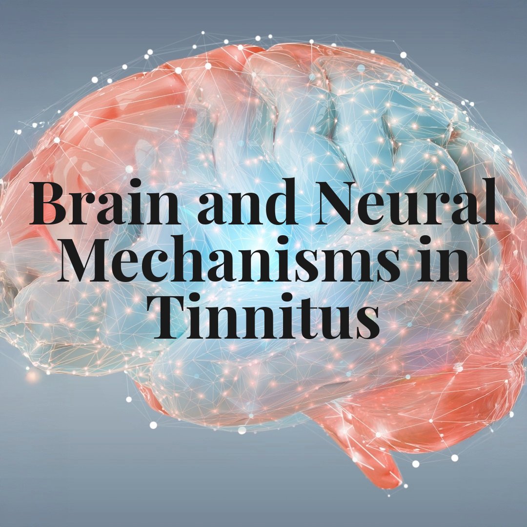 World Tinnitus Congress London 2027 (@WTC2027) / Posts / X