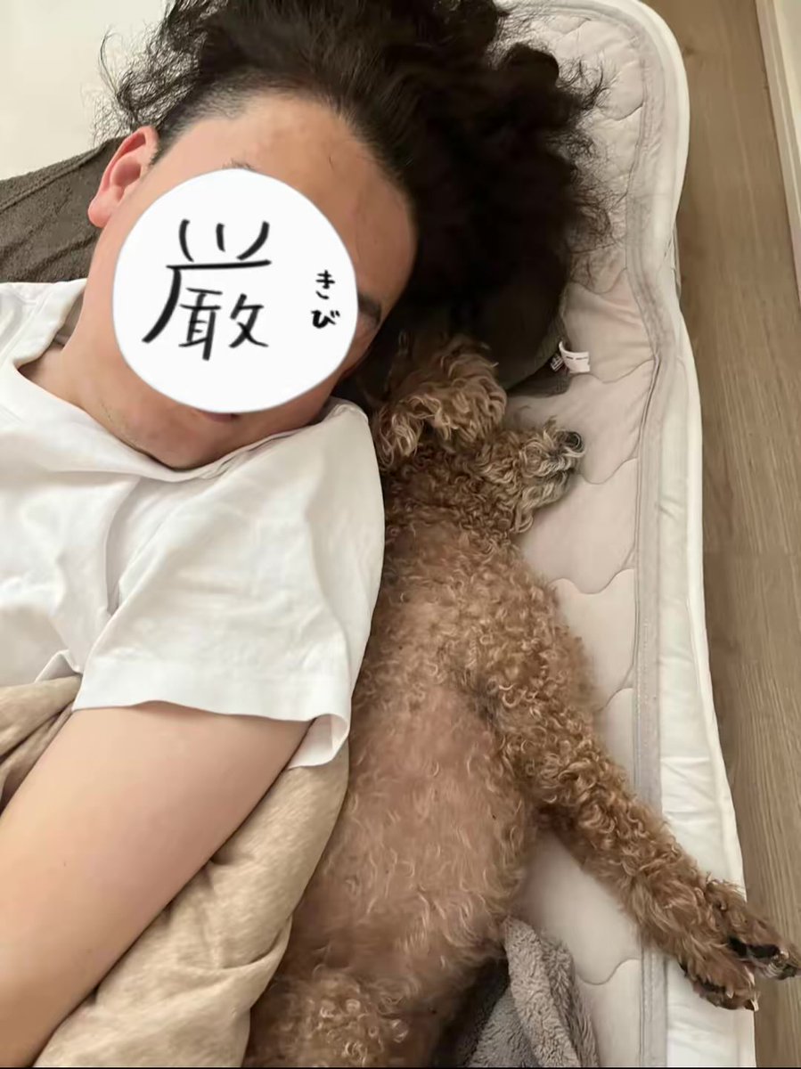 ガクテンソクよじょう（趣味） tweet media