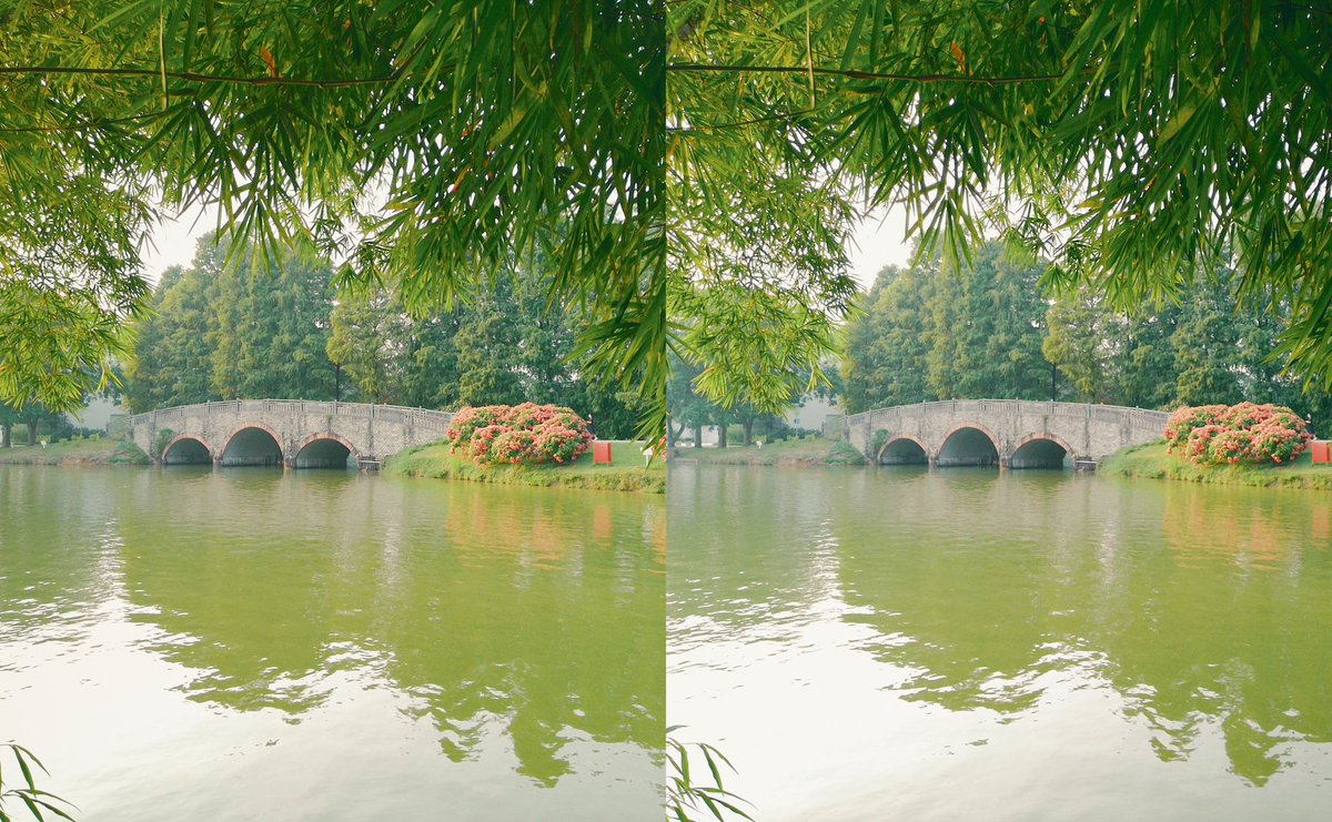 jamestechsailor's tweet image. Through the Bamboo Leaves
3D Camera: QooCam EGO
#qoocamego #stereoscopic #stereoscopicphotography #stereoscopiccamera #3DCamera