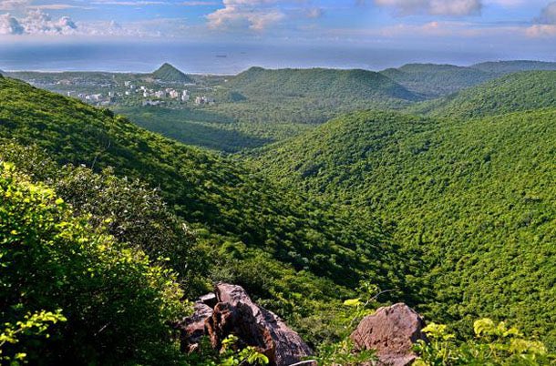 AndhraCommunity's tweet image. Night eco-stays coming to Kambalakonda, Vizag 🌙🌿

🔹 ₹2 Cr Nagaravanam project drawing strong footfall
🔹 Trekking trails (3, 5 &amp;amp; 7 km) in pipeline
🔹 Huts, bird towers, boating &amp;amp; viewpoints

📍 Forest experience within city limits

#Visakhapatnam #AndhraPradesh #Vizag